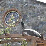 Ferienhaus Alensgrove #2 *