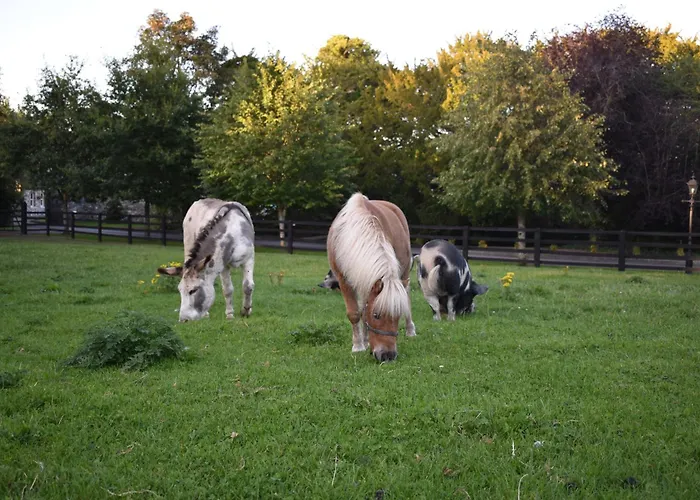 Alensgrove #2 Leixlip